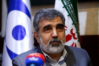 کمالوندی: برنامه هسته‌ای صلح‌آمیز ایران تاکنون بیشترین شفافیت را داشته است