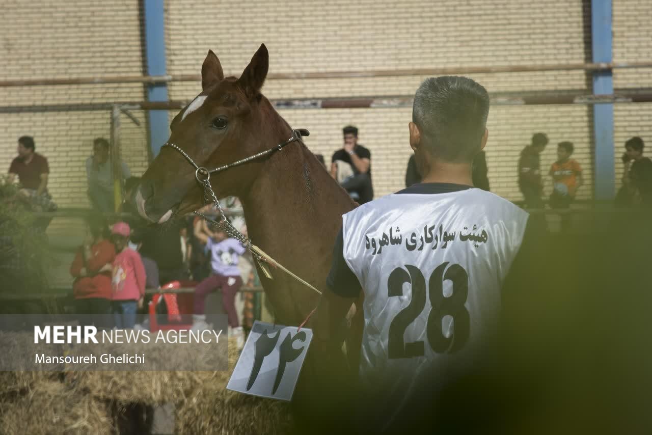 جشنواره اس اصلی ترکمنی در شاهرود