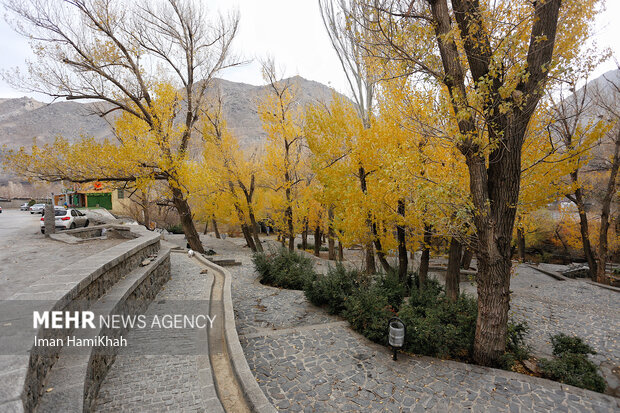 طبیعت پاییزی گنجنامه همدان