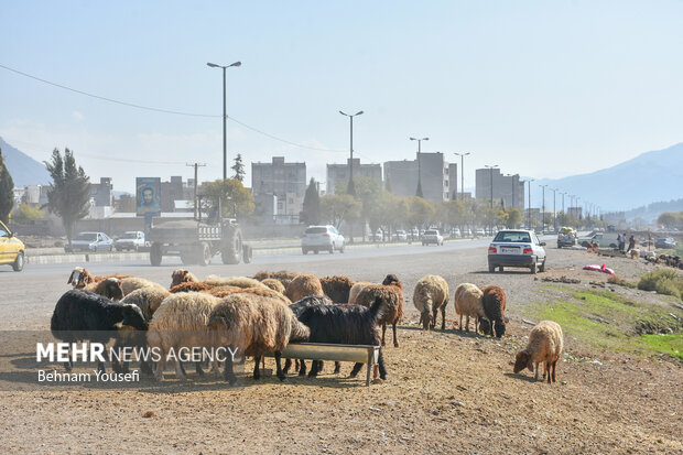 کسب روزی حلال در جاده ها