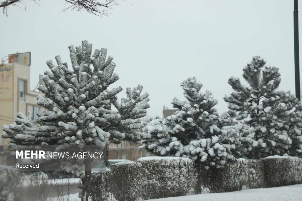 بارش برف در زنجان