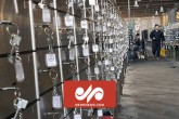 ۲۶ نفر در پرونده صندوق امانات بانک ملی دستگیر شدند ۲۶ نفر در پرونده صندوق امانات بانک ملی دستگیر شدند