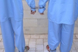 دستگیری ۳ سارق احشام در محله امام زاده داوود