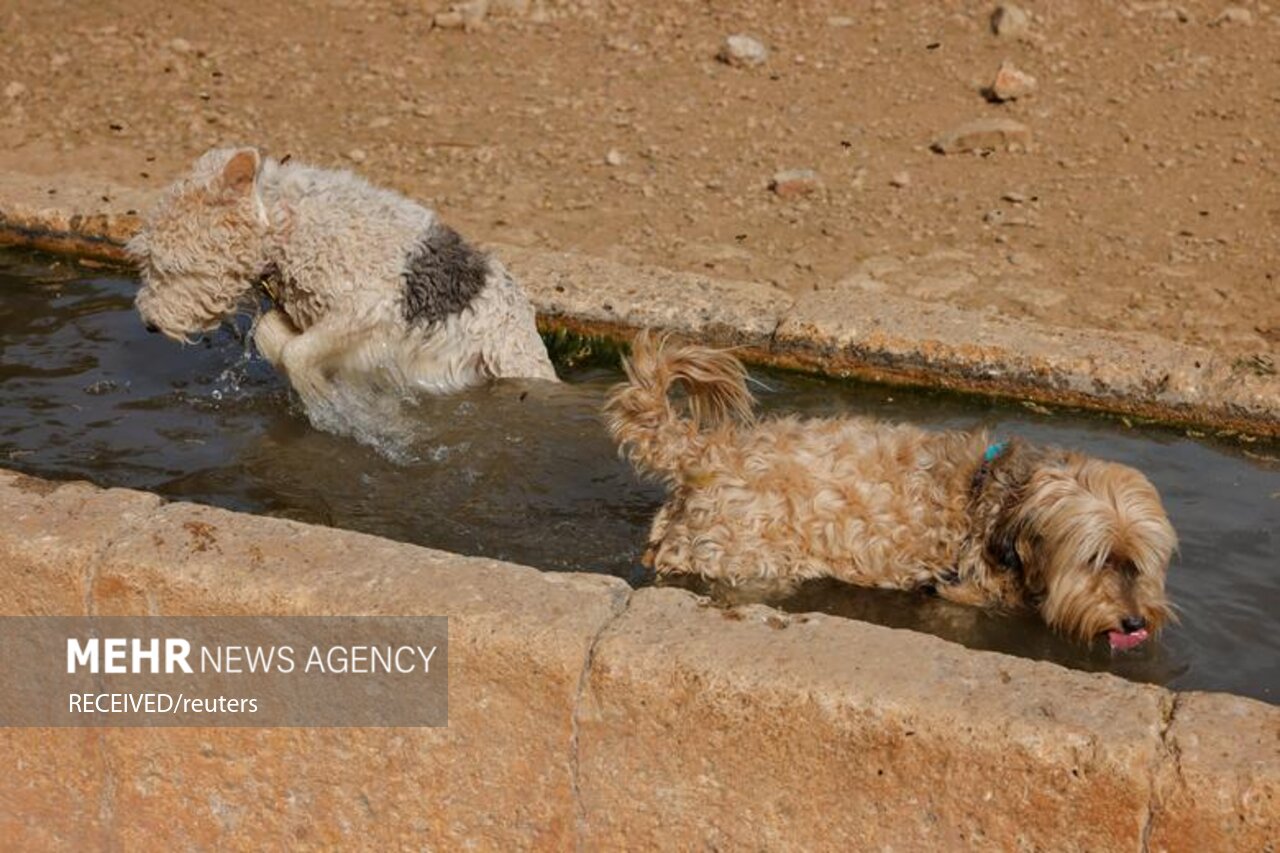 خشکسالی در اسپانیا