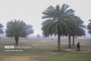 هوای ۷ شهر خوزستان در وضعیت «ناسالم» قرار گرفت