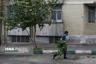 وزش باد شدید در تهران از عصر امروز/ بارش  باران طی دو روز آینده