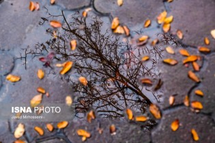 بارش پراکنده باران در تهران/ کاهش دما از پنجشنبه