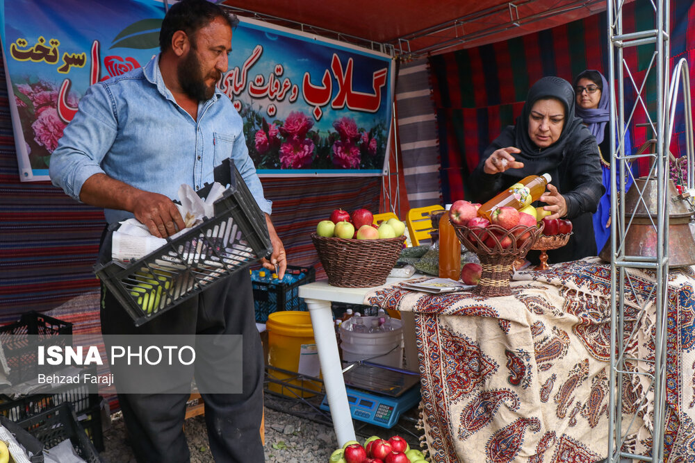 اولین جشنواره انگور کندوله و سیب سرتخت