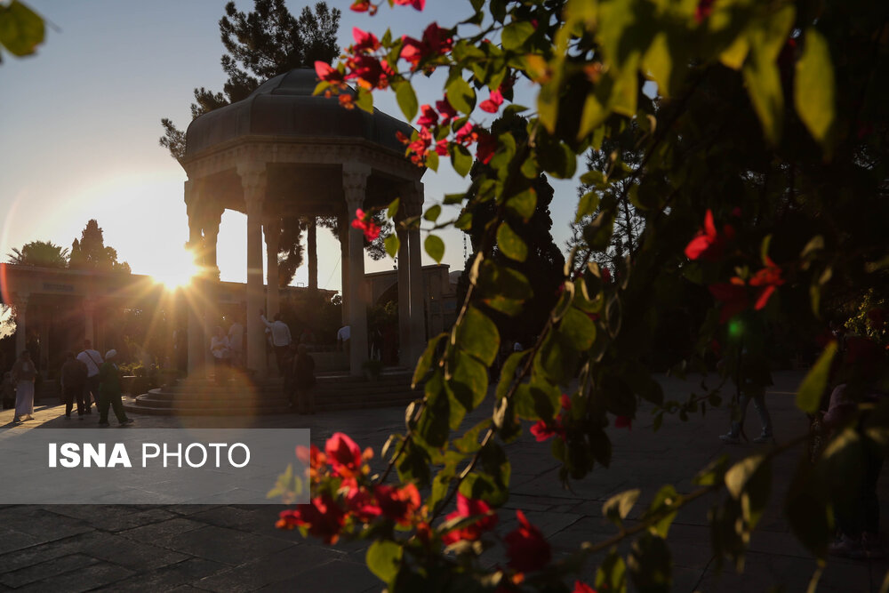 روزی برای لسان الغیب