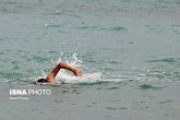 تصاویر / فینال لیگ مسابقات کشوری شنای آب های آزاد در جزیره کیش