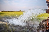 تهدیدهای پنهان را جدی بگیرید تهدیدهای پنهان را جدی بگیرید