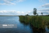 تصاویر / نبرد با بازگیران  <img src="/images/picture_icon.gif" width="16" height="13" border="0" align="top">