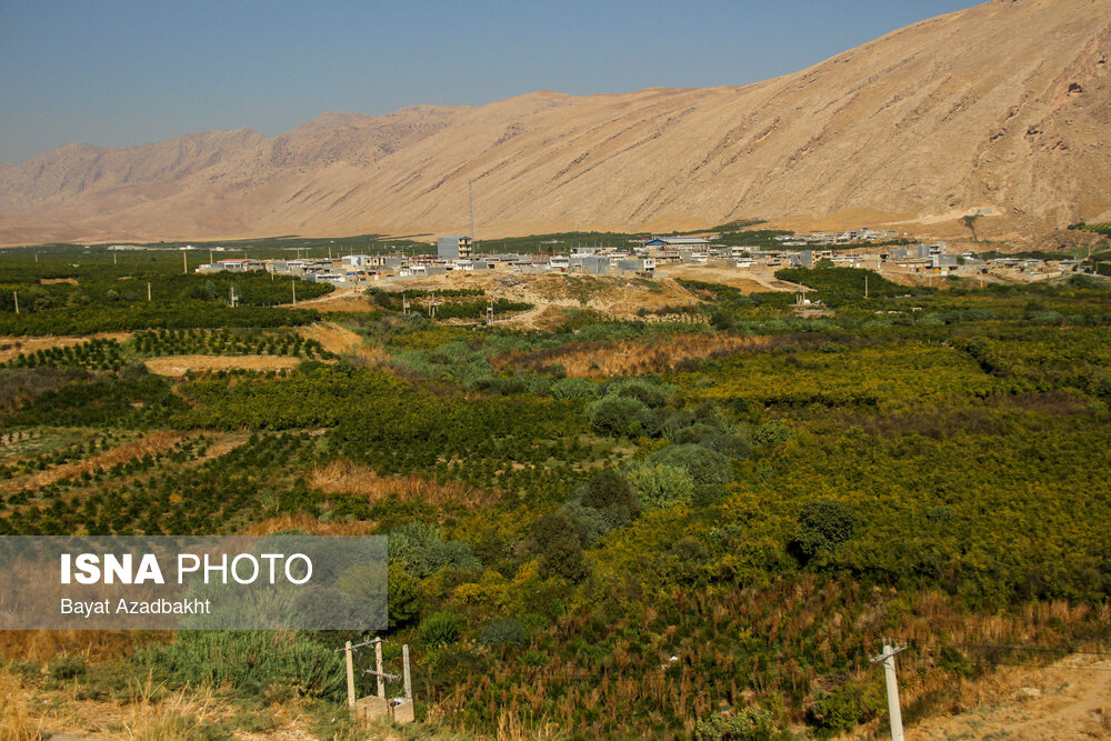 انارستان تنگ سیاب (کوهدشت)