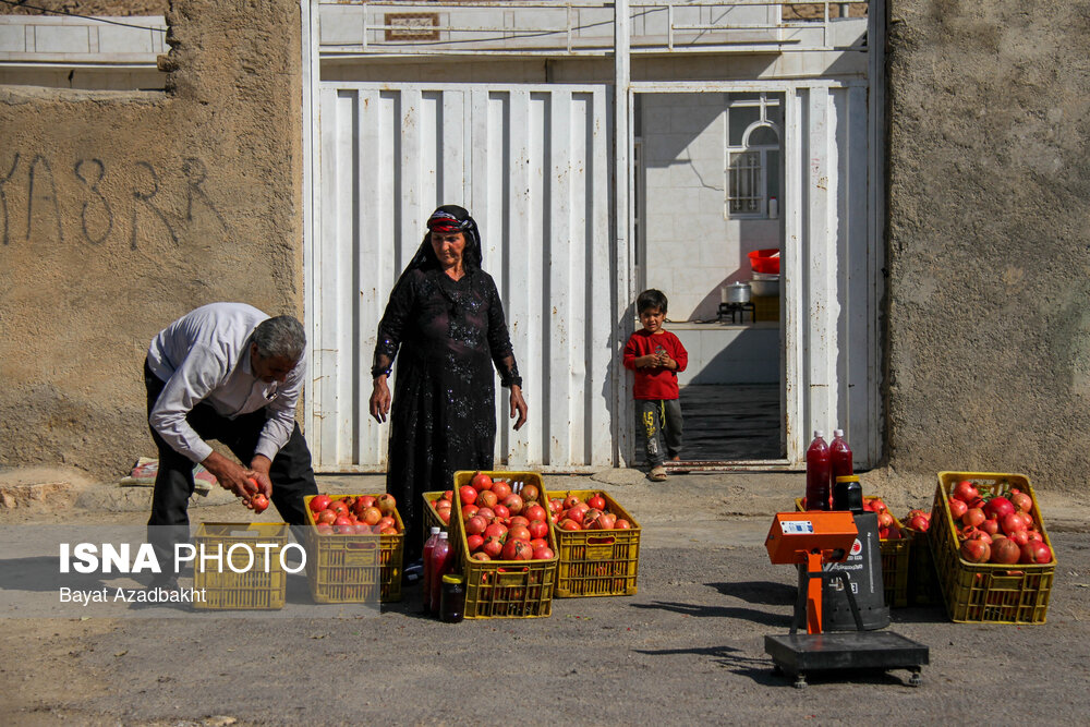 انارستان تنگ سیاب (کوهدشت)