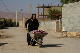 انارستان تنگ سیاب (کوهدشت)