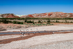 کوه‌های رنگین کمانی زنجان