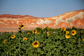 کوه‌های رنگین کمانی زنجان