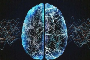 علامت هشدار دهنده اولیه آلزایمر که اکثر افراد نمی‌دانند