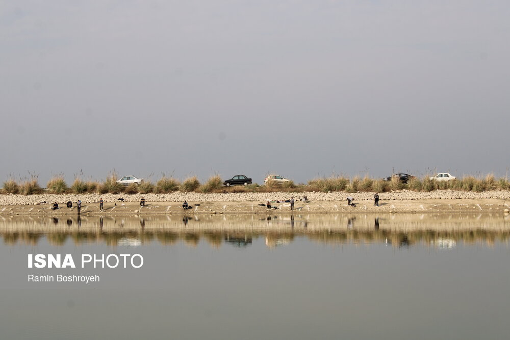 مسابقات ماهیگیری گرگان