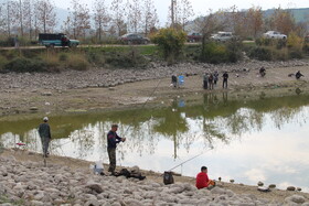 مسابقات ماهیگیری گرگان