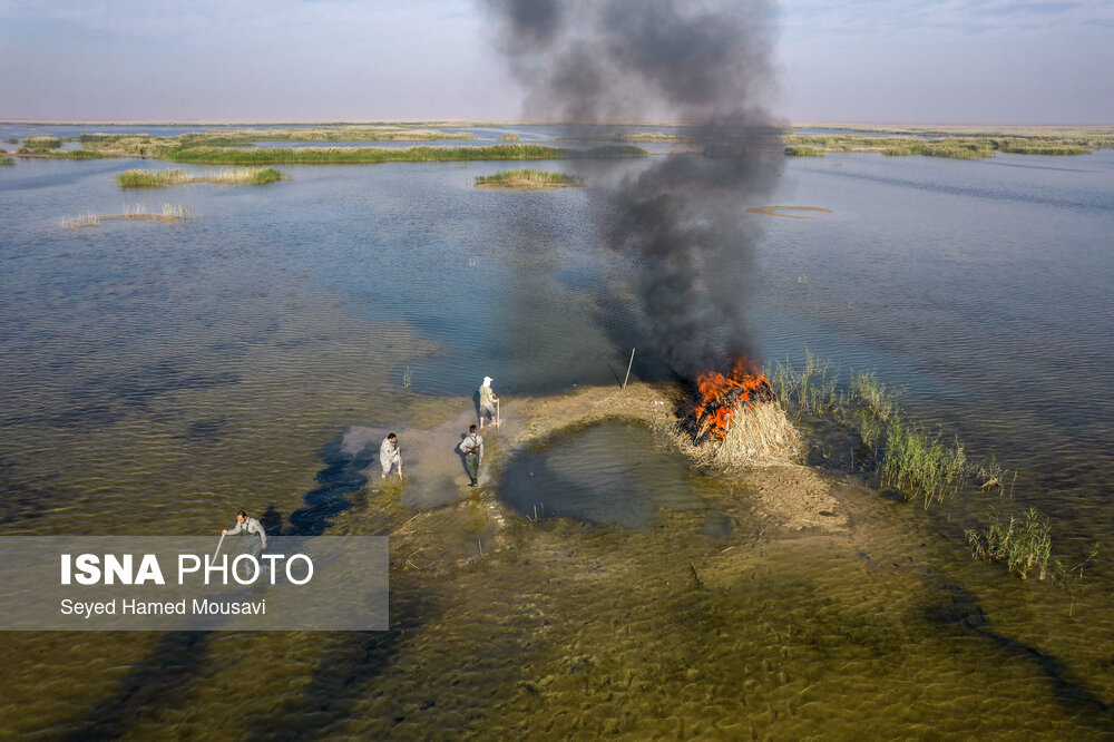 شکارچیان پیش از آغاز فصل مهاجرت پرندگان زمین‌هایی به وسعت ۵۰ تا ۳۰۰ هکتار در تالاب‌های مختلف را قرق و با احداث خاکریز و ایجاد کانال آب، اقدام به شکار زنده پرندگان می‌کنند.