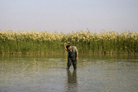 استان خوزستان بیش از یک میلیون هکتار منطقه حفاظت شده و تالاب دارد. تنوع اقلیمی بالا در این استان کار محیط‌بانان را برای حفظ منابع بکر و طبیعی و ذخایر ژنتیکی و رساندن آن به دست آیندگان سخت‌تر می‌کند.
