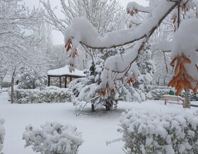 بارش اولین برف پاییزی در شهرستان اهر