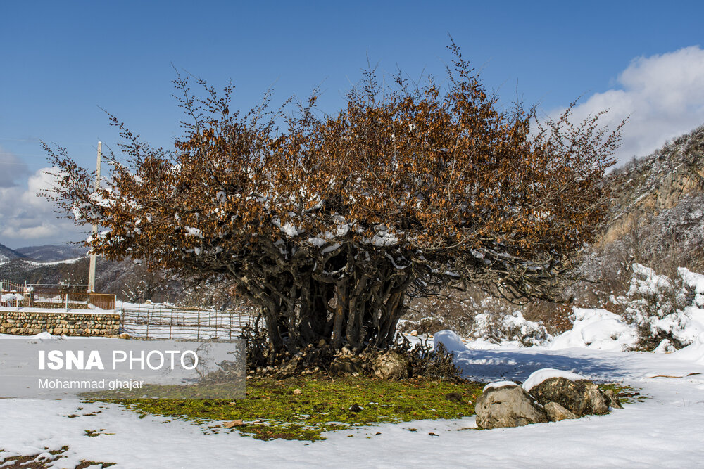 زمستان روستای ییلاقی بالا چلی در استان گلستان