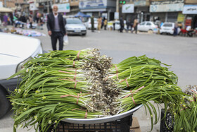 بازار سنتی عید فطر در سوادکوه