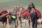 جاده چالوس به‌دلیل کوچ فصلی عشایر یک روز بسته می‌شود